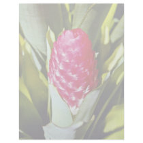 Red flower, bromeliad quesnelia from French Guyana Letterhead Template