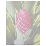 Red flower, bromeliad quesnelia from French Guyana Letterhead Template