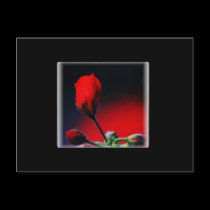Red Flower Bud Valentine Postcard- Fractal postcards