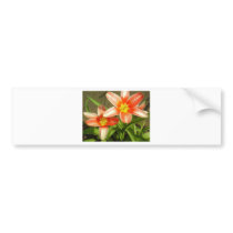 Red Flower bumper stickers by pollop Red Flower bumper stickers