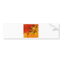 Red Flower bumper stickers by pollop Red Flower bumper stickers