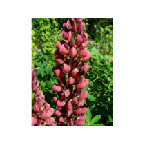 Red Flower Bush photo sculptures
