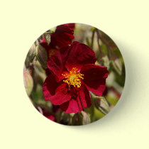 Red Flower buttons