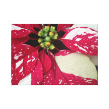 Red Flower Canvas Prints