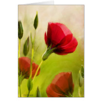 Red Flower cards