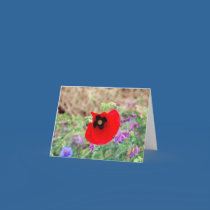 Red Flower cards