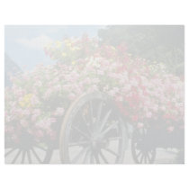 Red Flower cart, La Clusaz, France flowers Customized Letterhead
