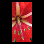 An exotic flower from my garden that seems to bloom this time every year, but it is hidden beneath another plant so no one ever knows it is there! Red Flower Closeup Personalized Photo Card