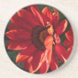 Red Flower - Coaster / Untersetzer