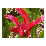 Red Flower - Customized Card