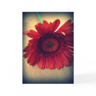 Red Flower Greeting Card card