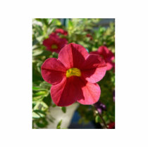 Red Flower In The Grass photo sculptures by lifesphere Red Flower In The Grass photo sculptures