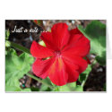Red flower Just a note ... Card