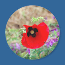 Red Flower magnets