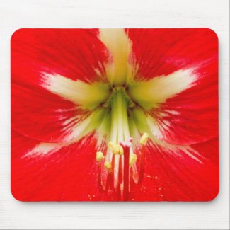 Red Flower Mouse Pads