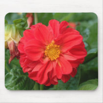 Red flower mousepad by bkang22 Red flower mousepad