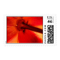 Red Flower No. 1 postage by ErichKesse Red Flower No. 1 postage