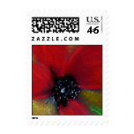 Red Flower, Poppy. Postage