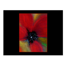 Red Flower, Poppy. Postcards