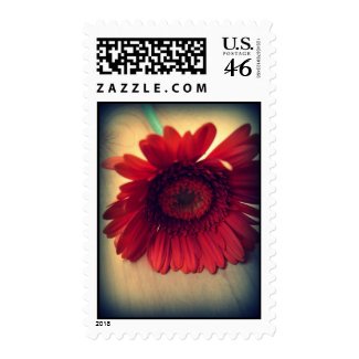 Red Flower Postage stamp