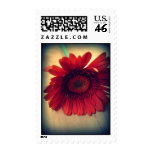 Red Flower Postage