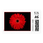 Red Flower