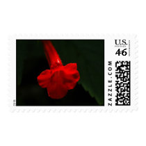 Red Flower stamps