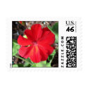 Red Flower Postage Stamp