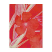 Red Flower Postcard