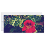 Red flower customized rack card