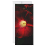 Red Flower Custom Rack Cards