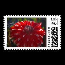 Red flower stamp stamps
