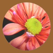red flower sticker