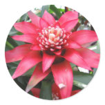 red flower sticker