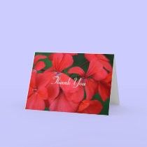 red flower thanks cards by cardart red flower thanks cards