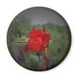 Red Flower w/ Pond Fridge Magnets