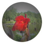 Red Flower w/ Pond Sticker