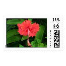 Red flower with water drops stamp by iluvsrk Red flower with water drops stamp