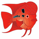 Red Flowerhorn Fish photo sculptures