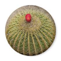 Red Flowering Cactus Refrigerator Magnet