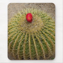 Red Flowering Cactus mousepads by Gilliand_Photo Red Flowering Cactus mousepads