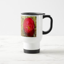 Red Flowering Cactus Mug
