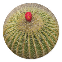 Red Flowering Cactus stickers