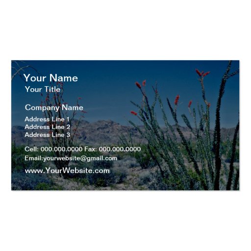 Red Flowering Ocotillo flowers Business Card Template (front side)