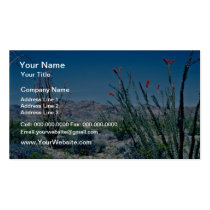 Red Flowering Ocotillo flowers business cards