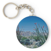 Red Flowering Ocotillo flowers Keychains