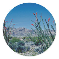 Red Flowering Ocotillo flowers Round Sticker