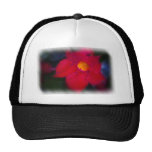 Red Flowering Vine Hat