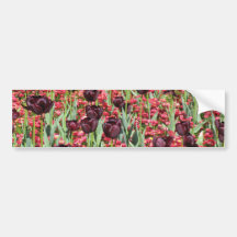 Red Flowers and dark tulips Bumper Stickers