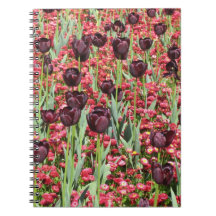 Red Flowers and dark tulips Notebooks